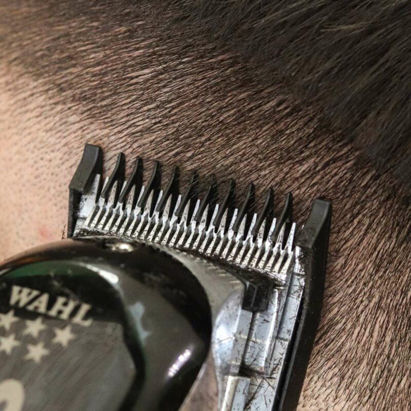 Wahl Cordless Senior